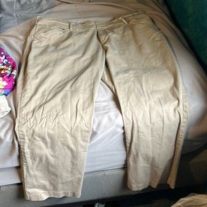 Woman’s Lee straight leg pant size 22 petite